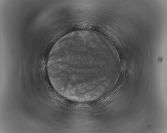 X0000094071154200711161541