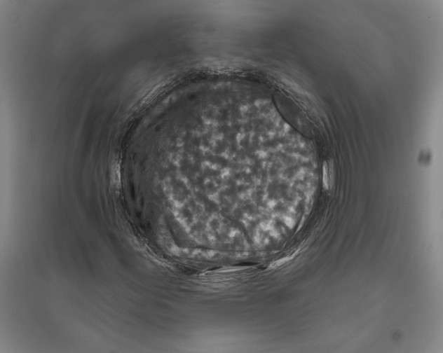 X0000094071155200711161541