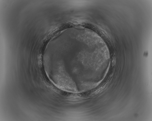 X0000094071156200711161541