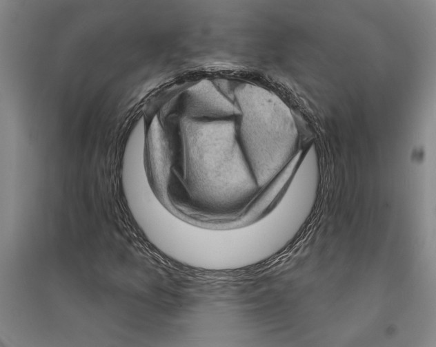 X0000094071157200711161541