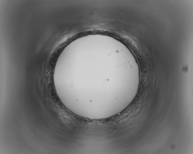 X0000094071159200711161540
