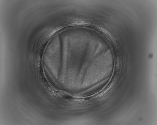 X0000094071161200711161540