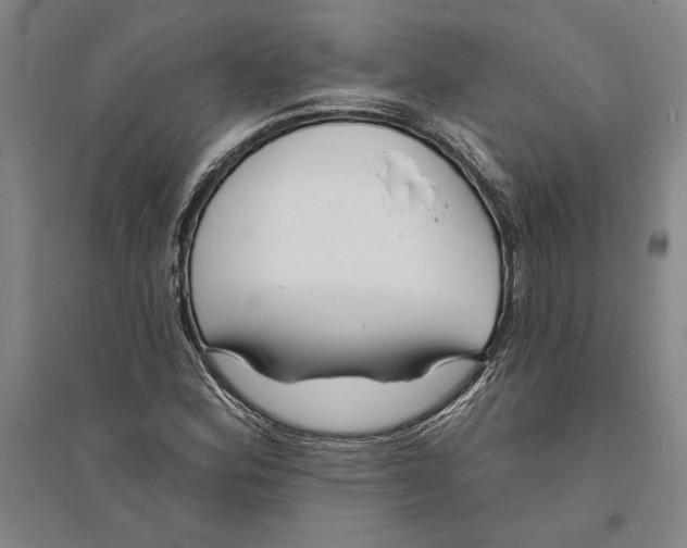 X0000094071164200711161540