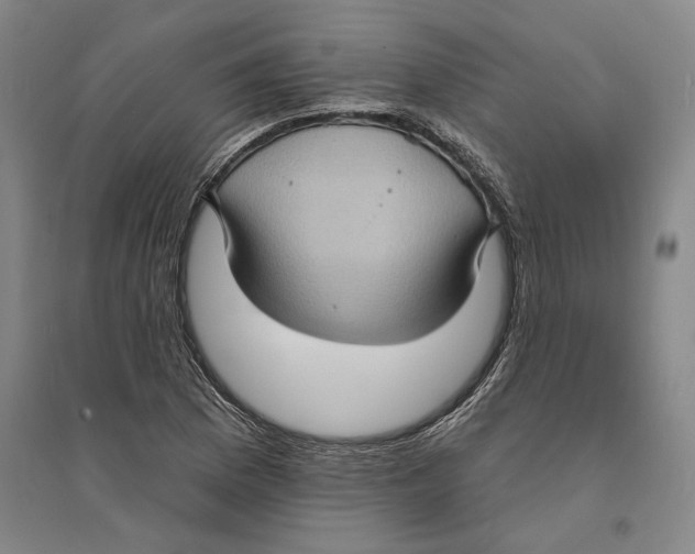 X0000094071169200711161540