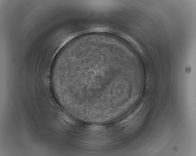 X0000094071170200711161540