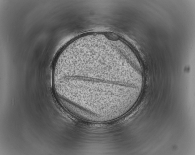 X0000094071171200711161540