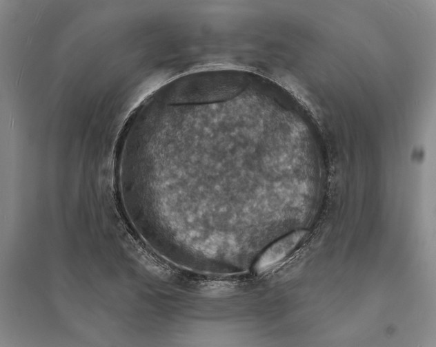 X0000094071173200711161540