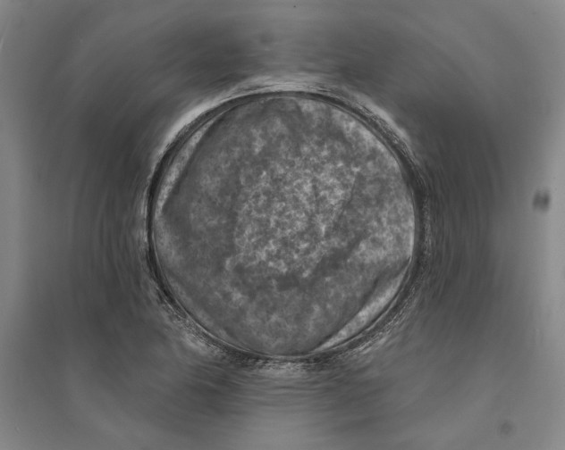 X0000094071174200711161540