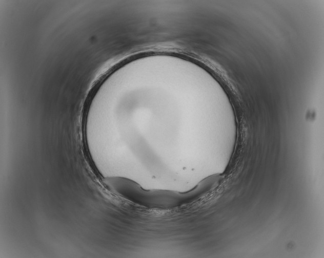 X0000094071176200711161540