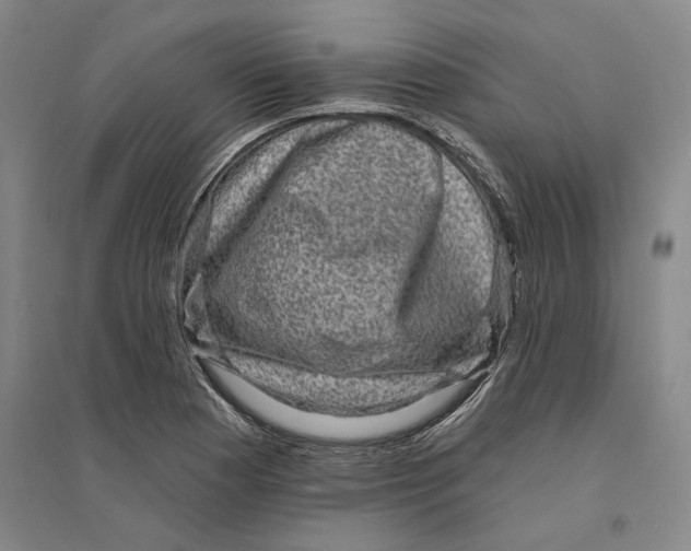 X0000094071177200711161540