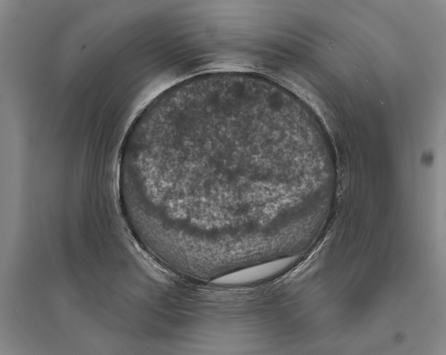 X0000094071179200711161540