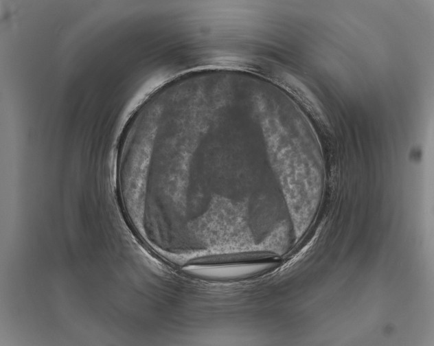 X0000094071180200711161540