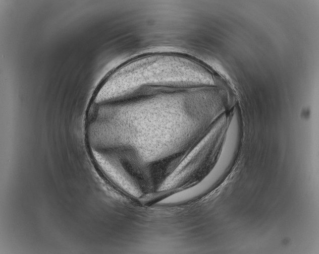 X0000094071181200711161540