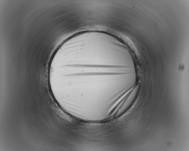 X0000094071184200711161540
