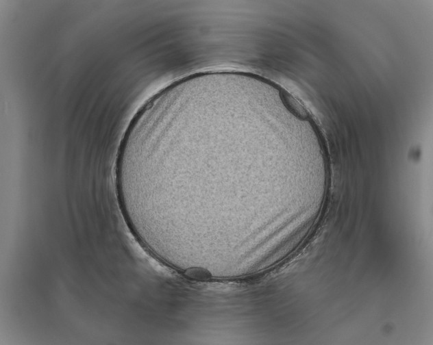 X0000094071189200711161540
