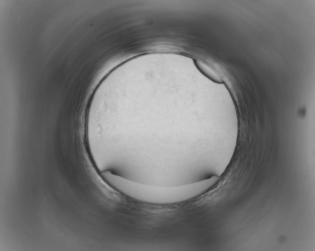 X0000094071195200711161540