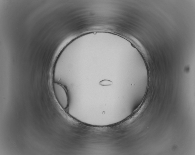 X0000094071196200711161540
