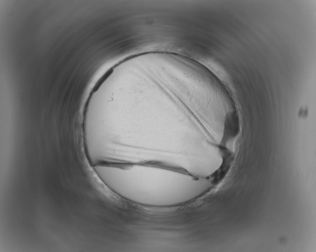 X0000094071200200711161540