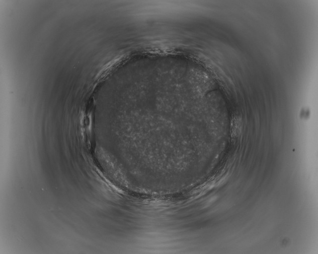 X0000094071202200711161539