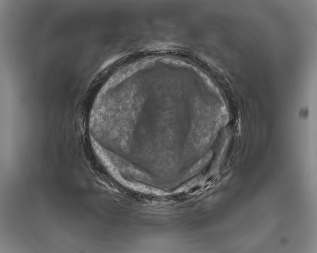 X0000094071206200711161539