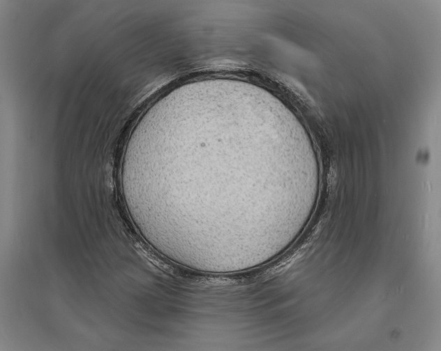 X0000094071209200711161539