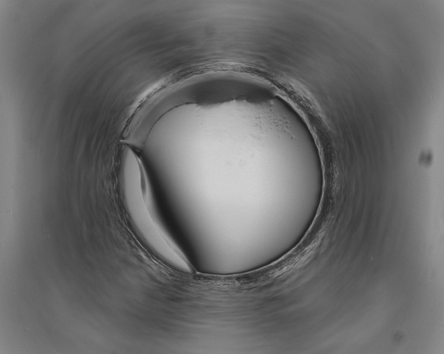 X0000094071210200711161539
