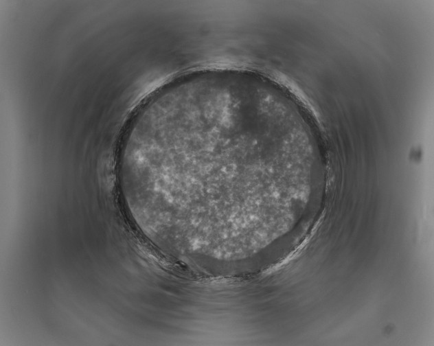 X0000094071213200711161539