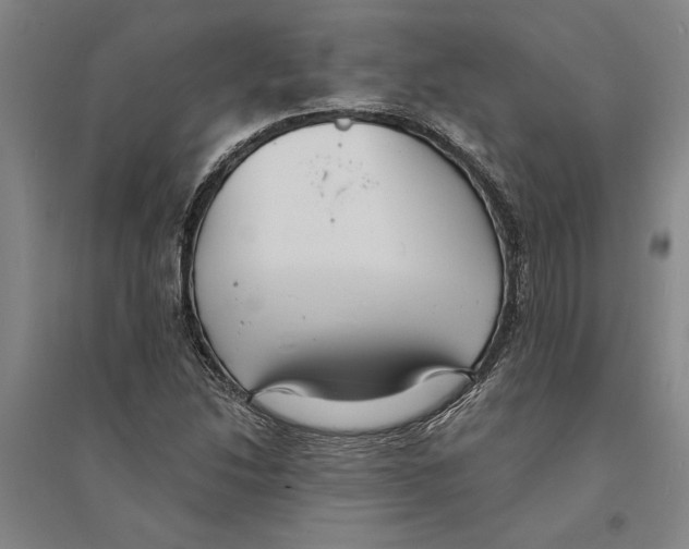 X0000094071214200711161539