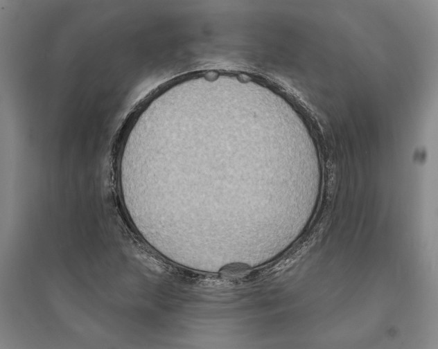 X0000094071215200711161539