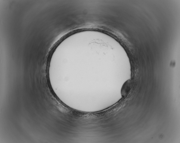 X0000094071216200711161539