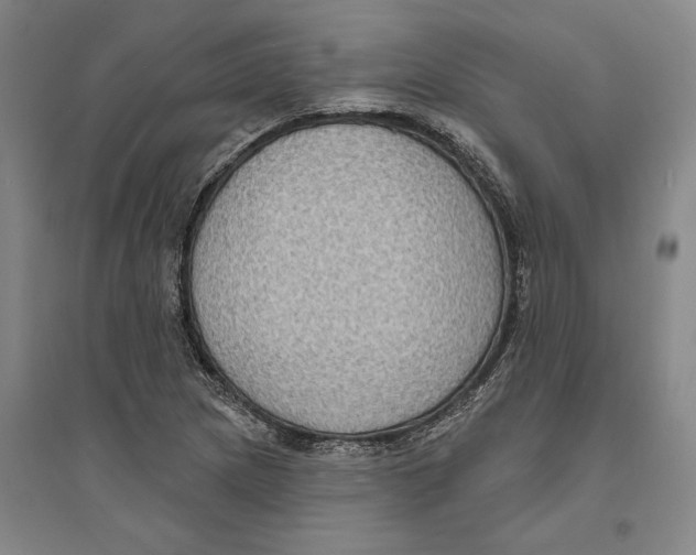 X0000094071217200711161539