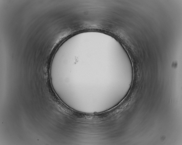 X0000094071218200711161539