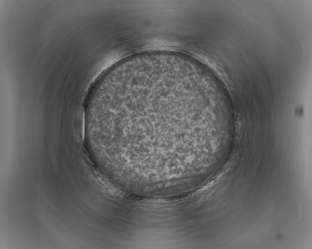 X0000094071219200711161540