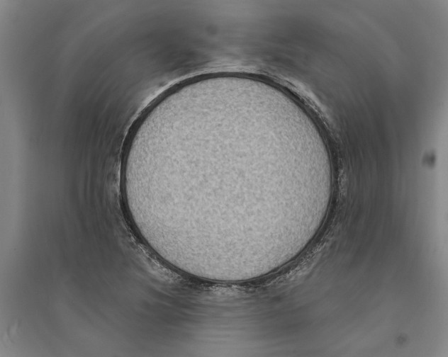 X0000094071220200711161540