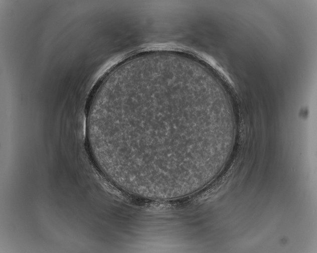 X0000094071221200711161540