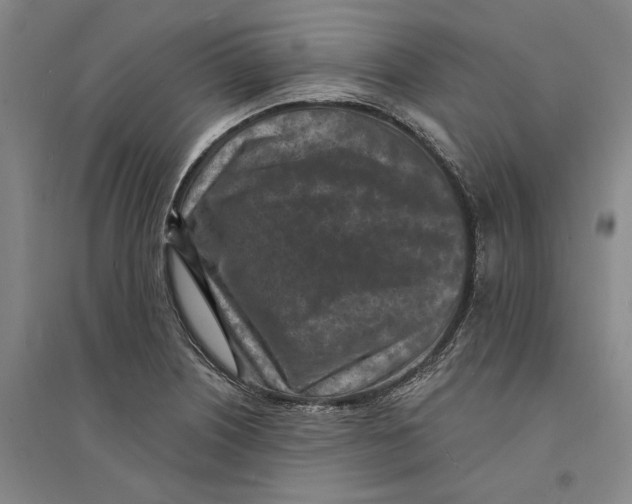 X0000094071226200711161540