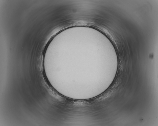 X0000094071227200711161540