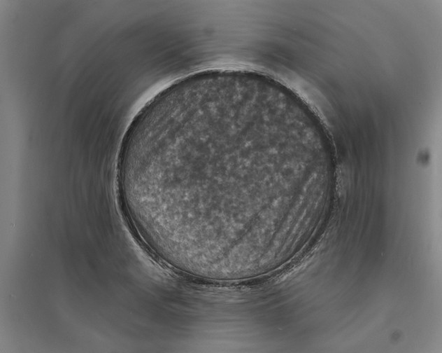 X0000094071229200711161540