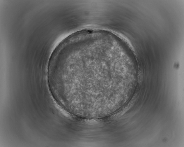X0000094071231200711161540
