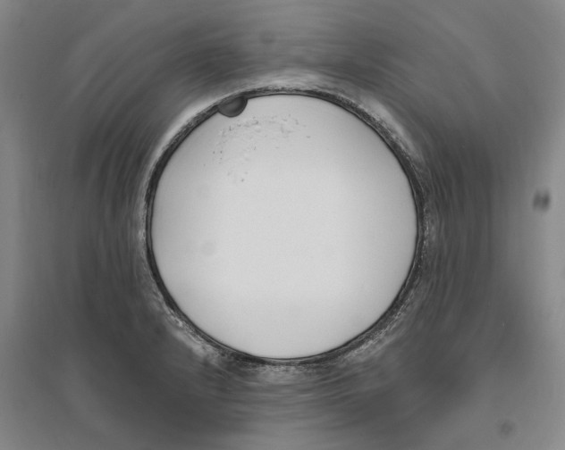 X0000094071232200711161540