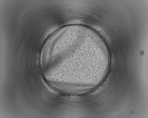 X0000094071233200711161540
