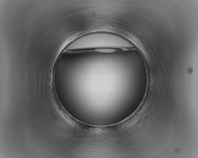X0000094071234200711161540