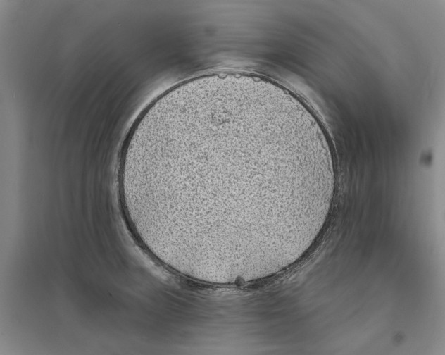X0000094071235200711161540