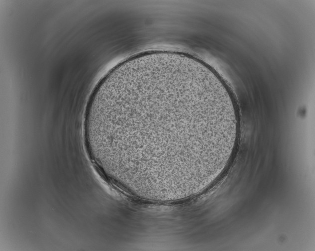 X0000094071237200711161540