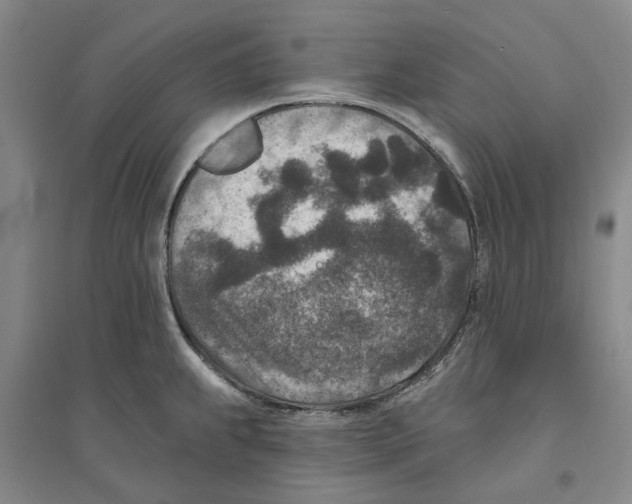 X0000094071239200711161540