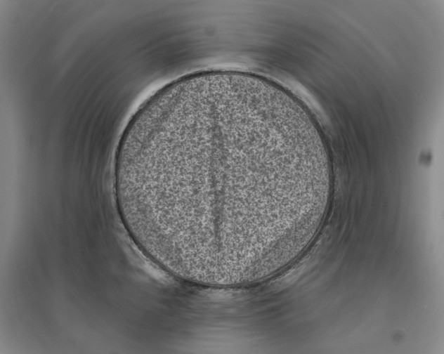 X0000094071240200711161540
