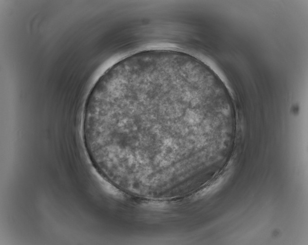 X0000094071245200711161540