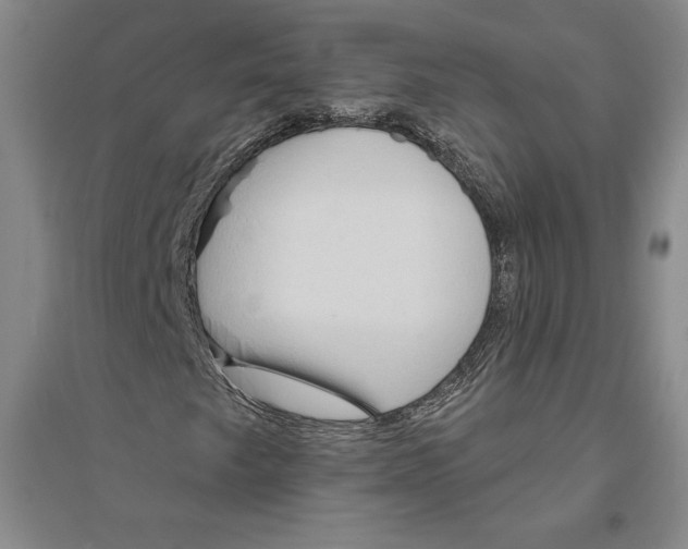 X0000094071249200711161539