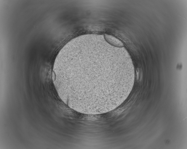 X0000094071251200711161539