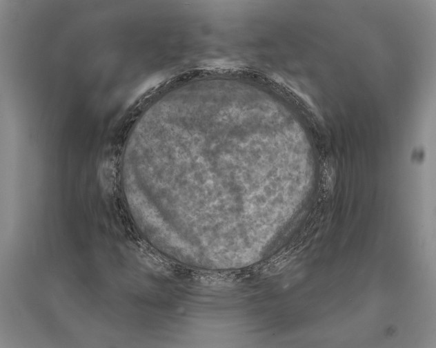 X0000094071254200711161539